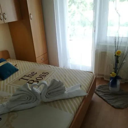 And Hudoletnjak Appartement Šilo